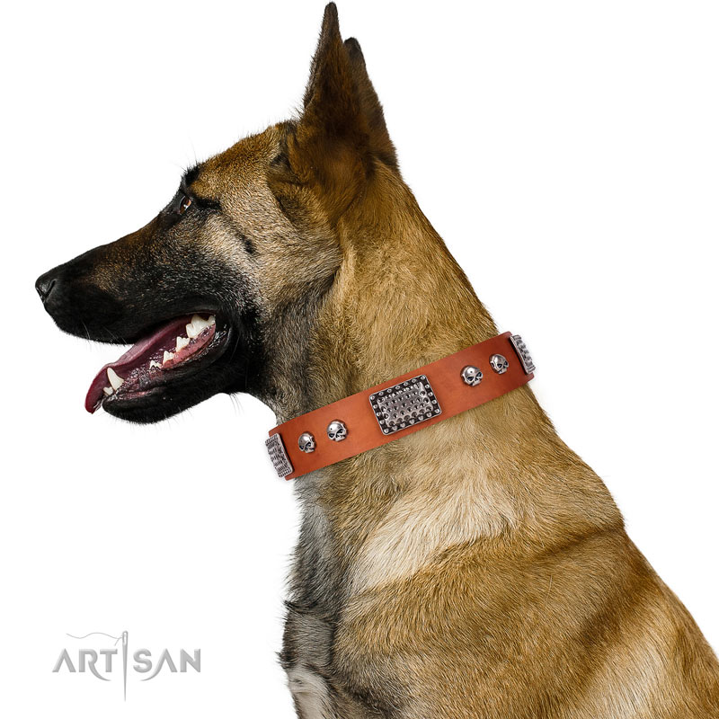 Southern Living Embossed Leather & Tortoise Charm Dog Collar