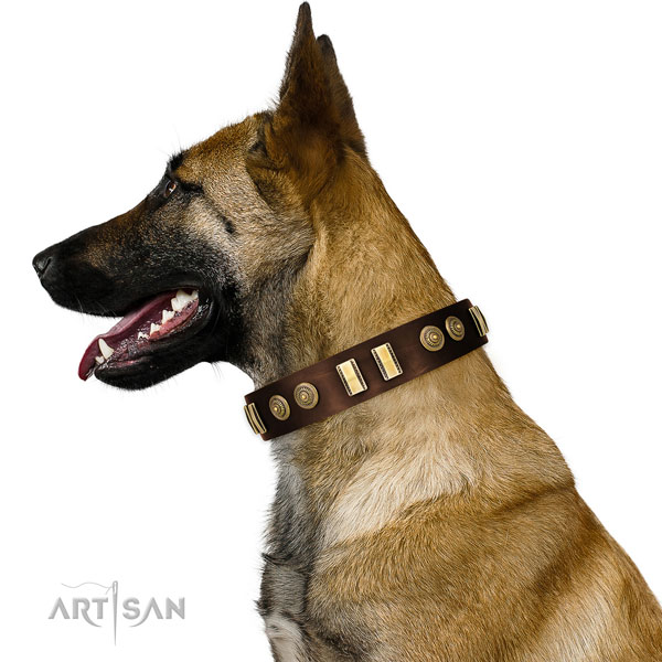 Corrosion proof hardware on leather dog collar for stylish walking