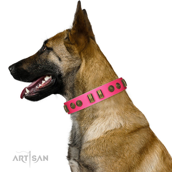 Walking dog collar of leather with remarkable adornments