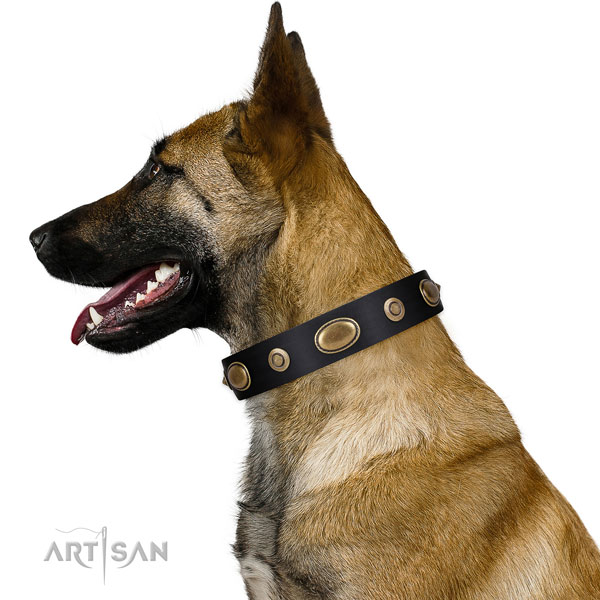 Comfy wearing dog collar of leather with designer studs