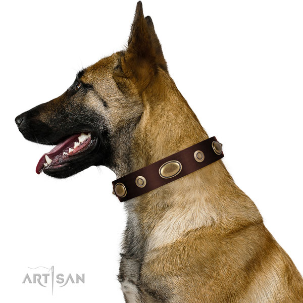 Comfortable wearing dog collar of natural leather with stunning decorations
