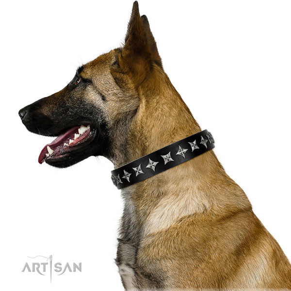 Daily use adorned dog collar of finest quality leather