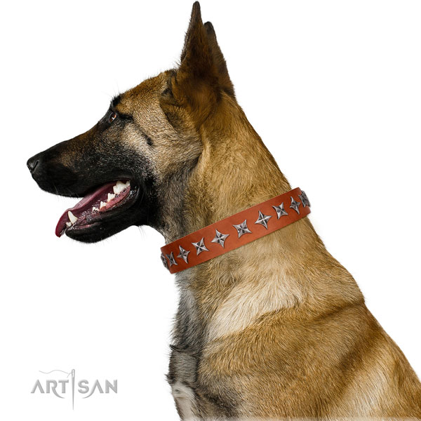 Walking adorned dog collar of fine quality natural leather