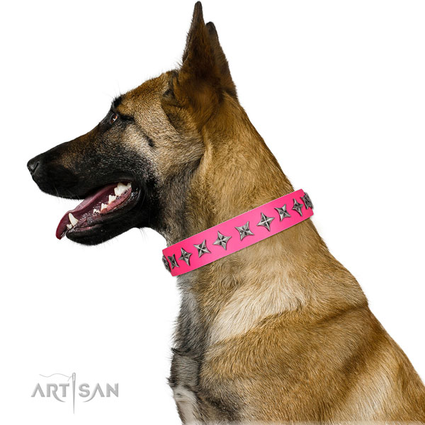 Strong natural leather dog collar with incredible studs