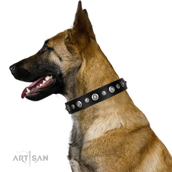 Durable full grain leather dog collar with significant adornments