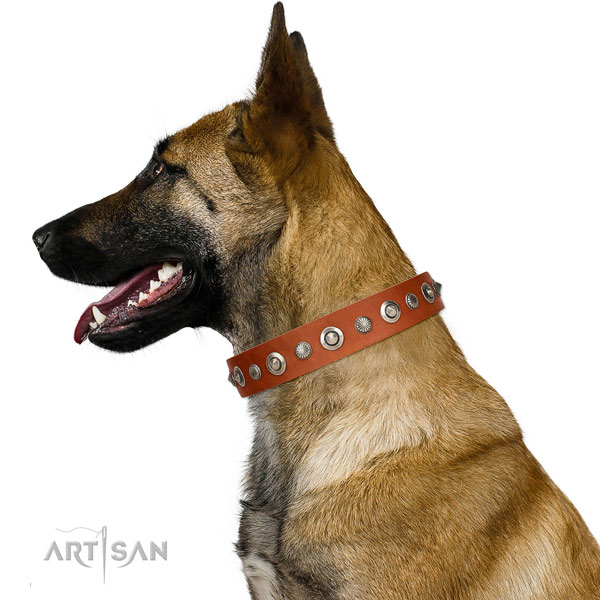 Fine quality full grain leather dog collar with designer embellishments