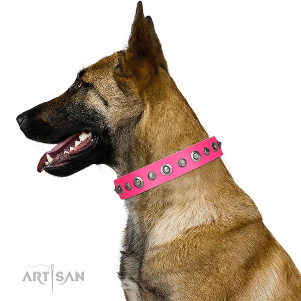 Full grain genuine leather collar with strong buckle for your attractive doggie