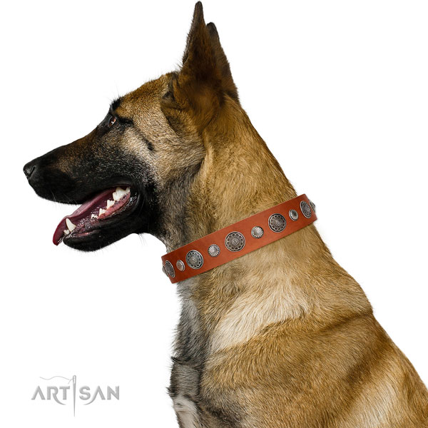 Embellished natural leather dog collar with corrosion resistant traditional buckle