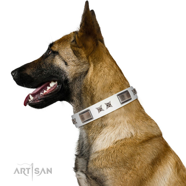 Trendy collar of full grain leather for your handsome doggie