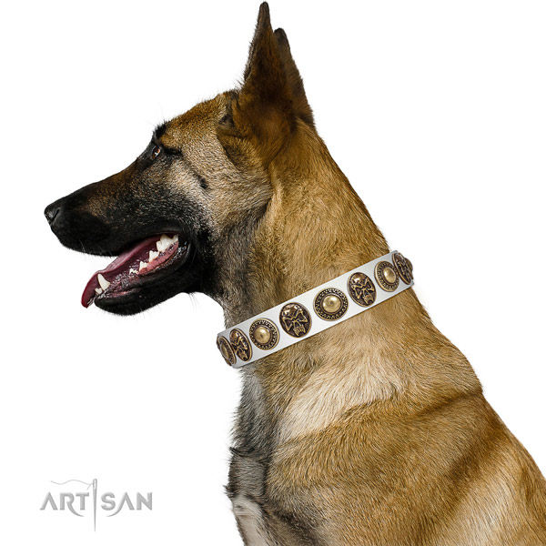 Incredible full grain leather collar for your beautiful four-legged friend
