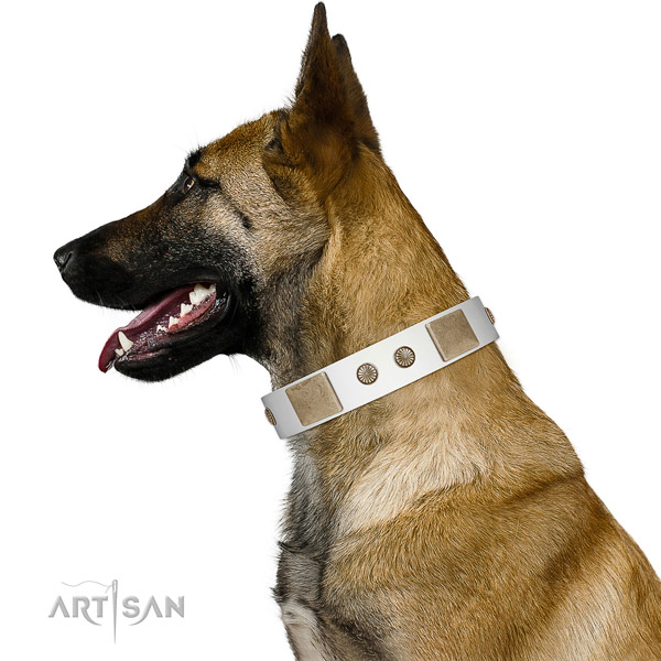 Strong buckle on full grain natural leather dog collar for easy wearing