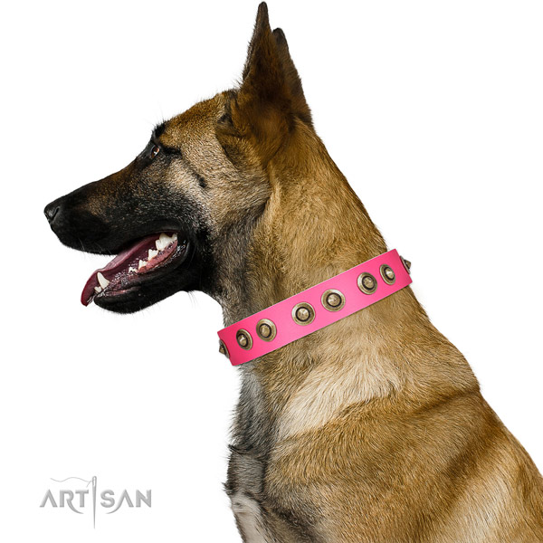 Full grain leather collar with adornments for your stylish canine