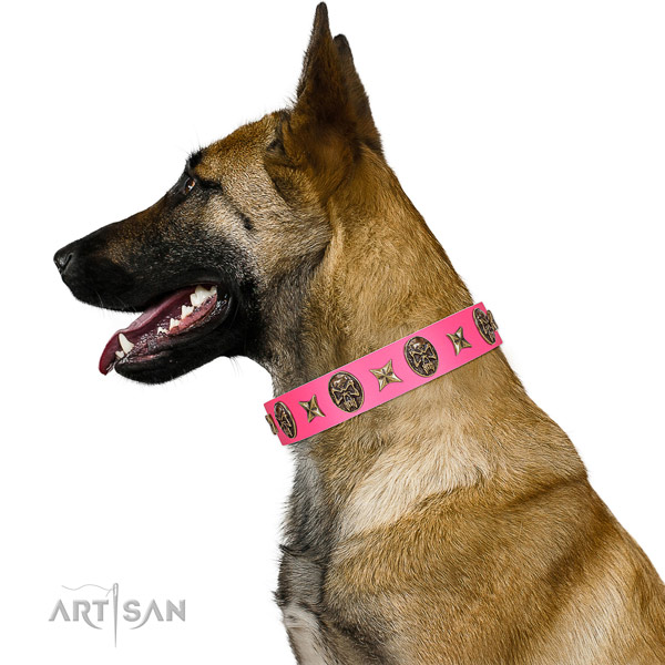 Remarkable dog collar made for your handsome doggie