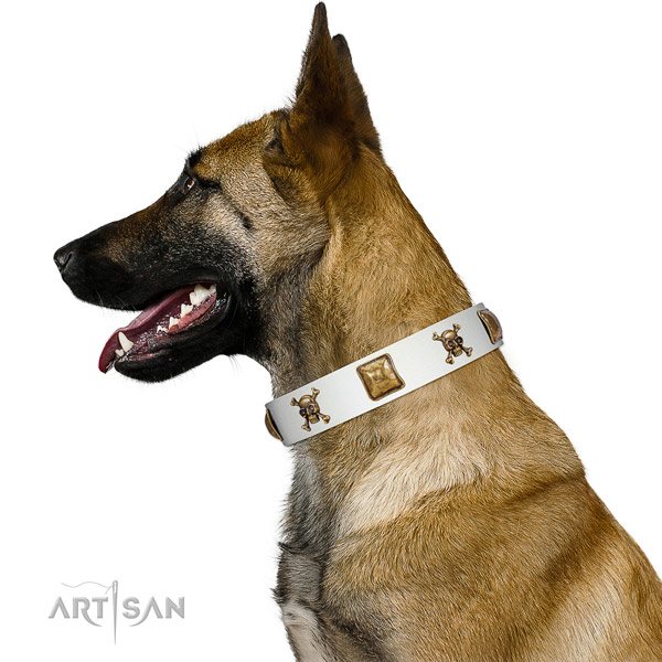 Incredible leather dog collar with corrosion proof decorations