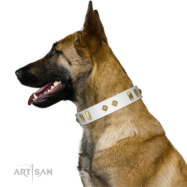 Comfy wearing best quality genuine leather dog collar with decorations