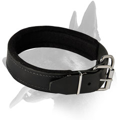 Easy adjustable Malinois Leather Dog Collar