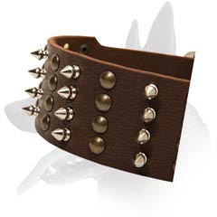 Cool Malinois Leather Dog Collar