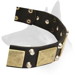 Posh Malinois Leather Dog Collar