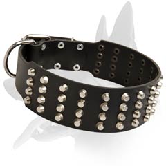 Safe Malinois Leather Dog Collar