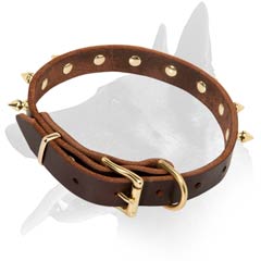 Spiked Malinois Leather Dog Collar