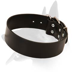 Cozy Malinois Leather Dog Collar