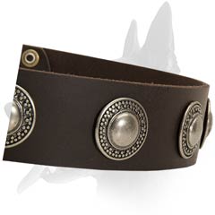 Perfect Belgian Malinois Leather Collar