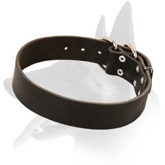 Comfy Malinois Leather Dog Collar