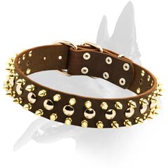 Spiked Malinois Leather Dog Collar