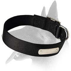 Well-made Malinois Nylon Collar