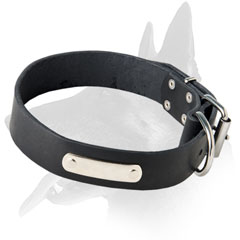 Splendid Belgian Malinois Leather Collar With Metal Tag