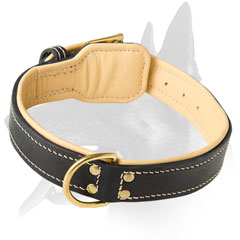 Outstanding Belgian Malinois Leather Collar