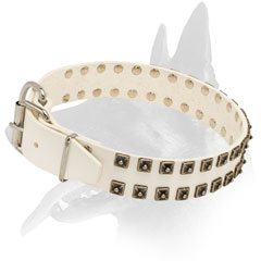 White Leather Collar for Belgian Malinois