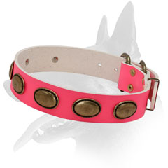 Leather Collar Belgian Malinois With Plates Decoration