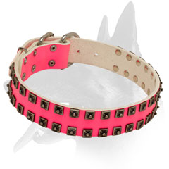 Leather Collar Belgian Malinois Pink Color With Plates