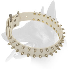Leather Belgian Malinois Collar Unique Decoration