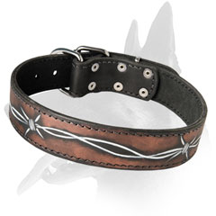 Belgian Malinois Leather Collar With Astonishing Barbed Wire Design