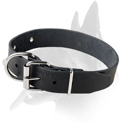 Reliable Leather Collar 