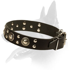 Leather Collar Belgian Malinois Studded Decor