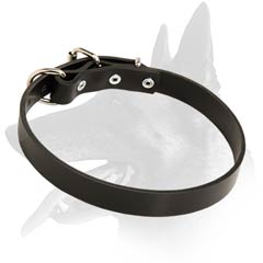 Quality Leather Collar