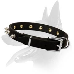 Malinois Classy Collar