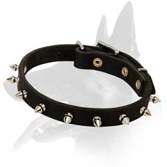 Quality Leather Collar