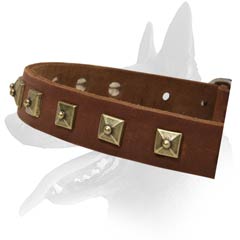 Decorated Leather Collar