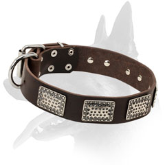 Leather collar with hammered plates for Belgian Malinois