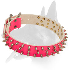 Belgian Malinois collar leather attractive design