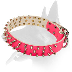 Belgian Malinois collar leather with shining spikes