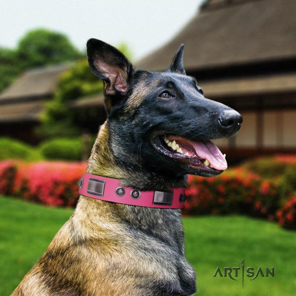 Belgian Malinois daily use full grain genuine leather collar for your handsome canine