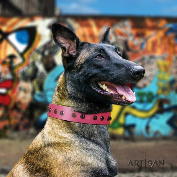 Belgian Malinois daily walking leather collar for your attractive four-legged friend