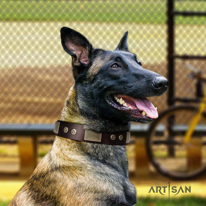 Splendid Armor Premium Quality FDT Artisan Tan Designer Dog Collar