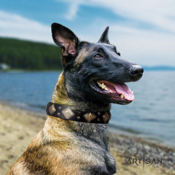 Belgian Malinois stylish walking full grain genuine leather collar for your beautiful doggie