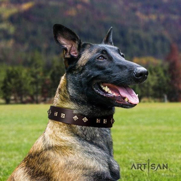 Belgian Malinois daily use leather collar for your beautiful pet